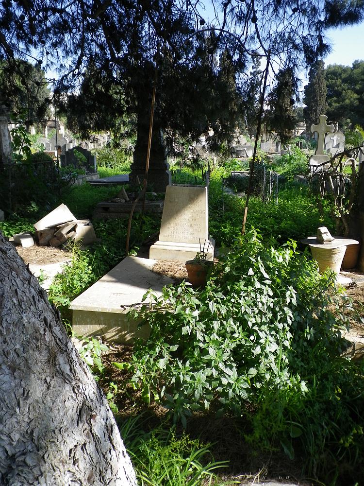 CIMETIERE DE TAMAZOUHET D ORAN EN MARS 2012  (98).JPG